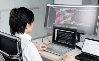 石狮 api php源码,下载的php源码怎么运行呢？